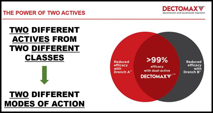 Why Dectomax V Offers Added Value for Weaner Cattle