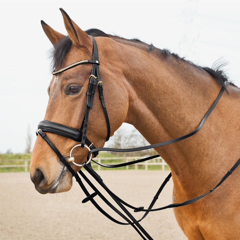 Bridles & Reins