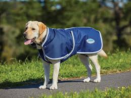 Dog Rugs