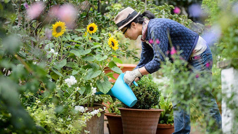 Gardening