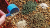 Horse Supplements