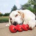 KONG DOG GOODIE RIBBON - LARGE