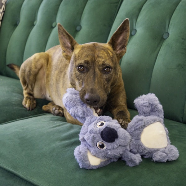 Kong Dog Scrumplez Koala - Medium