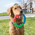 Kong Dog Twistz High-viz - Small