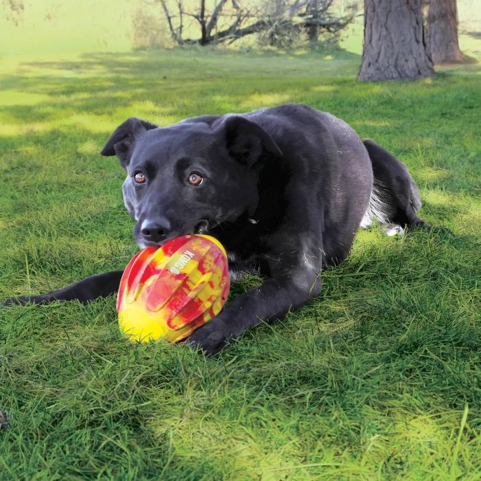 Kong Flexball Sport Football - Med
