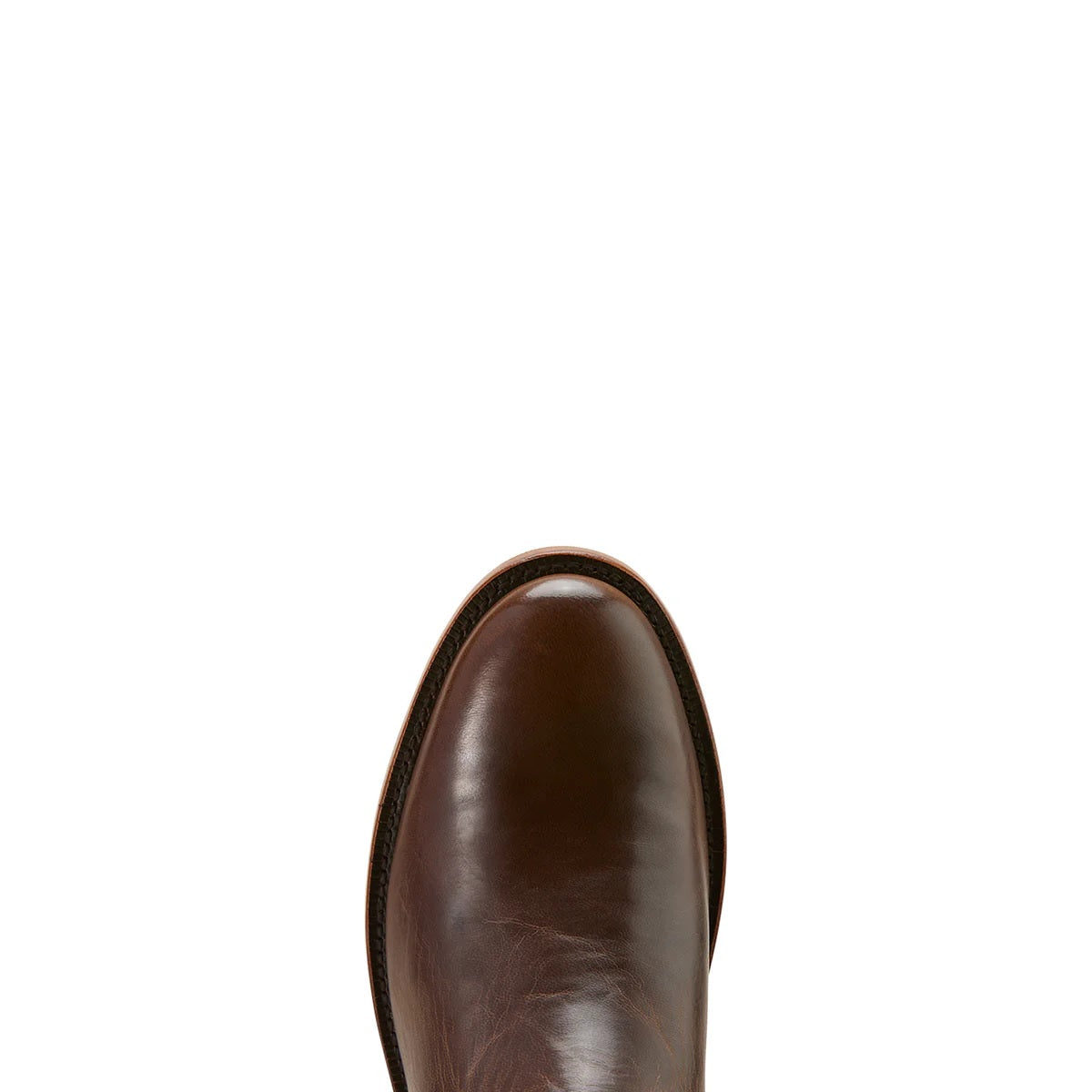ARIAT MENS DOWNTOWN - LOCO BROWN [SZ:9.0]