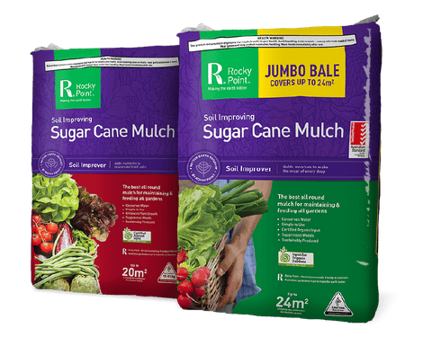 SUGAR CANE MULCH ROCKY POINT JUMBO GREEN 24SQ MT