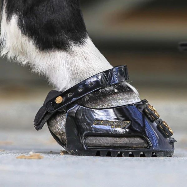 SCOOT BOOT REGULAR PAIR - 4