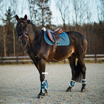 HORZE CLAREMONT AP SADDLEPAD - LEGION BLUE