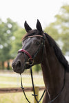 HORZE PHYSICAL SOPHISTICATION BRIDLE - BLACK/RED