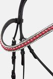 HORZE PHYSICAL SOPHISTICATION BRIDLE - BLACK/RED