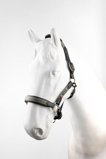 B Vertigo Lennox Leather Halter [sz:cob]