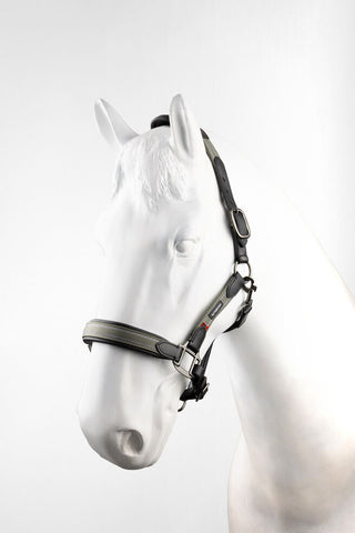 Halters & Leads