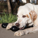 KONG DOG EXTREME GOODIE BONE - MEDIUM