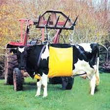 COW LIFTER SUPREME STANDARD SIZE A2171