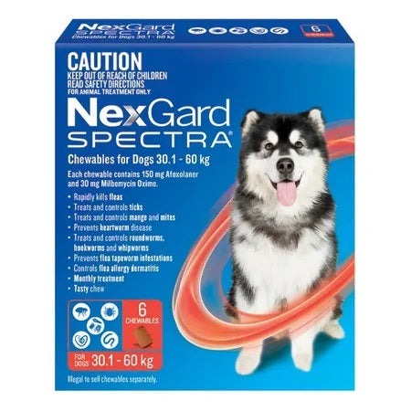 NEXGARD SPECTRA 30.1KG-60KG 6 PACK