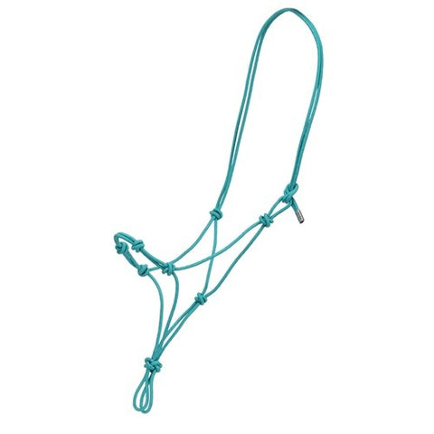 Halters & Leads
