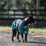 Supreme Dog Rug - Aztec/turquoise [sz:35cm]