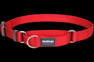 RED DINGO CLASSIC MARTINGALE - RED