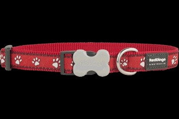 Red Dingo Desert Paws Dog Collar Red – Kingstons Rural Supplies