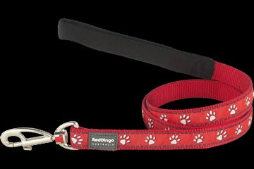 RED DINGO FIXED LEAD DESERT PAWS - RED