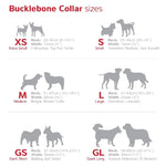 RED DINGO BUMBLE BEE DOG COLLAR - BLACK