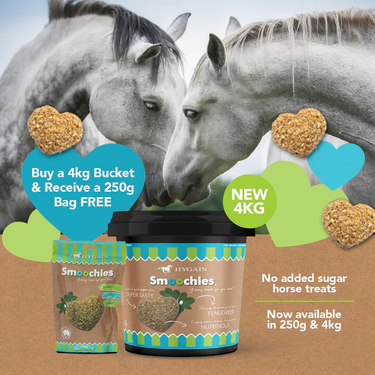 Hygain Smoochies 250g