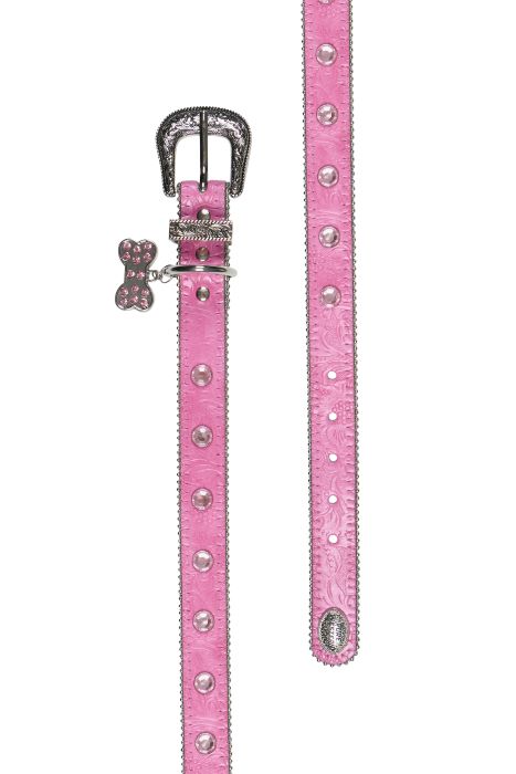 Pure Western Tilly Dog Collar - Pink [sz:xs]