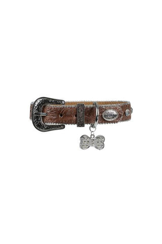 Pure Western Tilly Dog Collar - Tan [sz:xs]