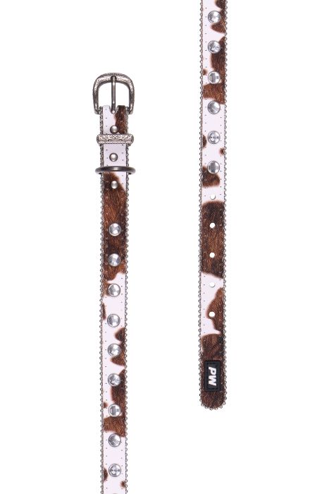 Pure Western Randy Dog Collar - Tan [sz:xs]