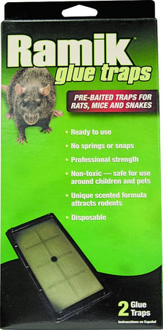 TRAP GLUE RAT (2PACK) BAINBRIDGE A3347